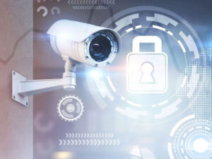 Premises Security Solutions provider | KapriCorp